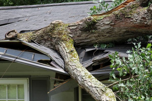 Storm Remediation in Frederick