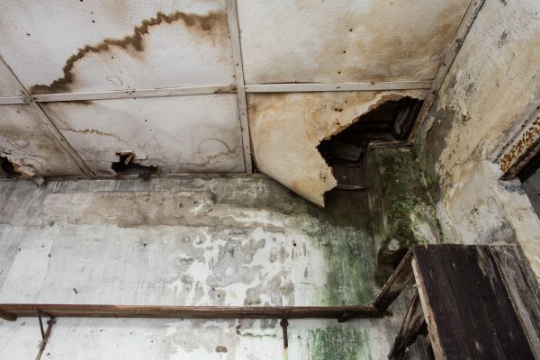Water Damage Service in Frederick
