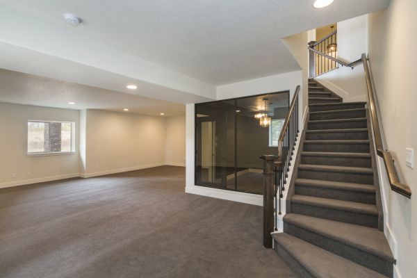 Basement Restoration Service in Frederick
