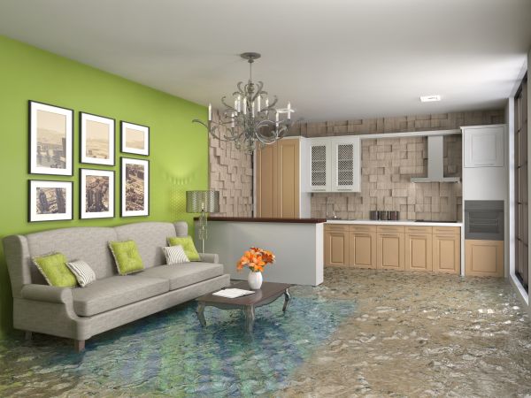 Wet Carpet Drying in Frederick