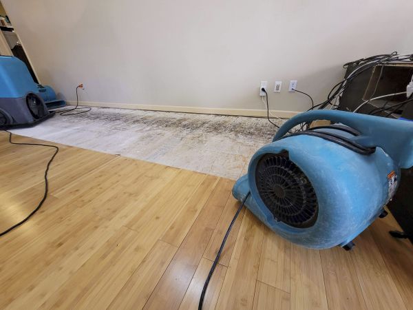 Water Damage Mitigation in Frederick