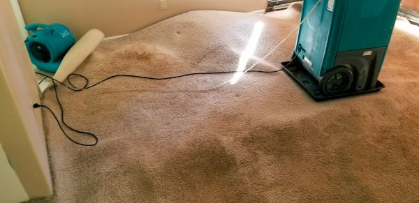 Flood Damage Cleanup in Frederick
