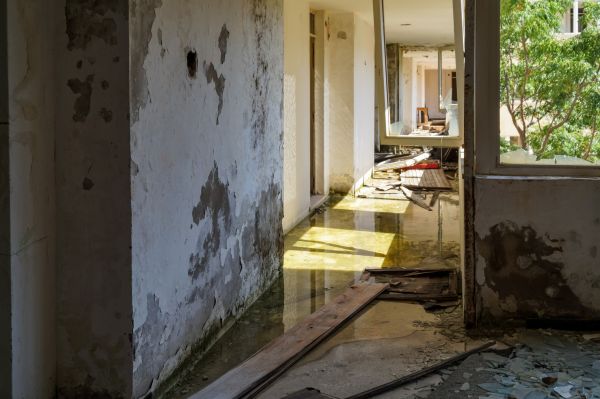 Water Removal Service in Frederick