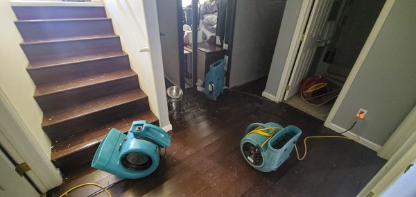 Water Damage Remediation in Frederick