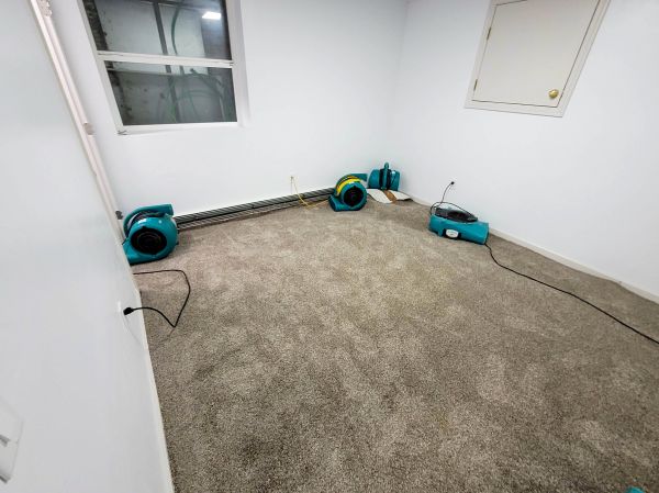 Flood Restoration Service in Frederick