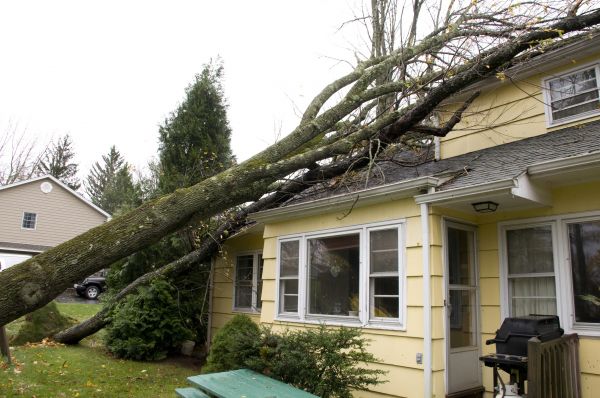 Hurricane Damage Repair in Frederick